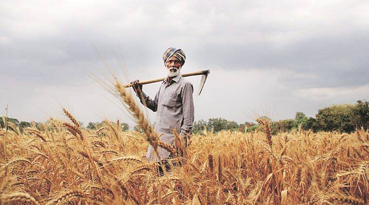 पंजाब के मुख्यमंत्री भगवंत मान के गृह जिले संगरूर में हुई हैं किसानों की सबसे अधिक आत्महत्याएं