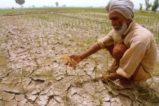 https://countercurrents.org/2016/08/indian-drought-2015-16-lessons-to-be-learnt/