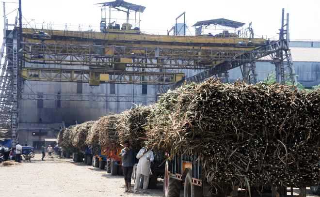 कोराना संकट के बावजूद चीनी उत्पादन में 23% की बढ़ोतरी