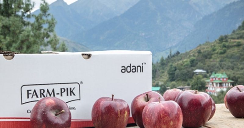 हिमाचल के किसानों को अदानी का झटका, कंपनी ने घटाए सेब के दाम!