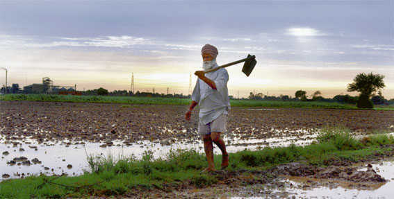 गुजरात की कंपनी ने नकली दवाई बेच कर किसानों के साथ की 37 करोड़ की ठगी!