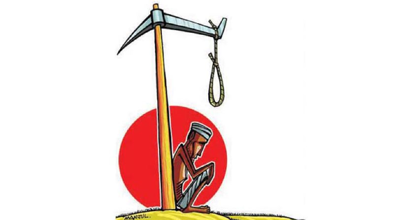 महाराष्ट्र: मराठवाडा में गहराया कृषि संकट, 8 महीने में 600 किसानों ने की आत्महत्या!