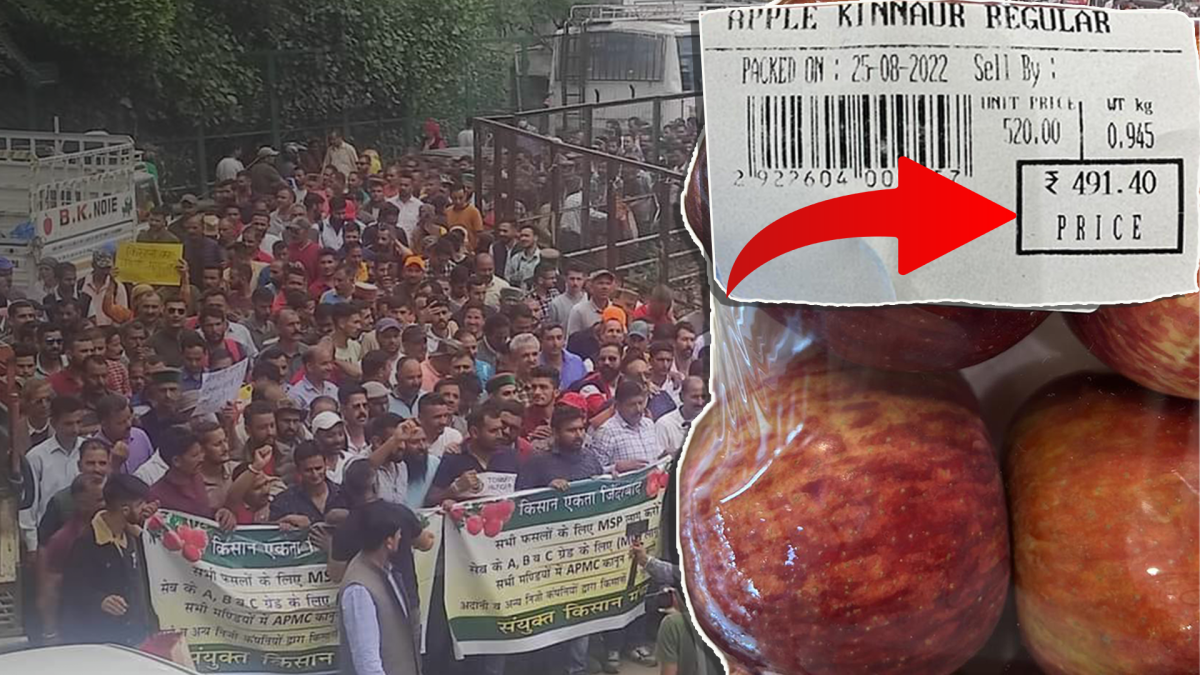 किसानों से 60 रुपये किलो खरीदा सेब दिल्ली में 500 रुपये प्रति किलो तक बेच रही कंपनियां!